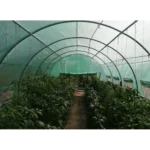 Sera 10x3x2 m MS — изображение 2