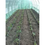 Sera 10x3x2 m MS — изображение 3