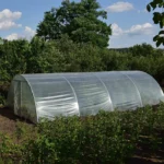 Sera gradina profesionala Demetra Italia, 36m2, 8-4.5-2.5m - imagine 4