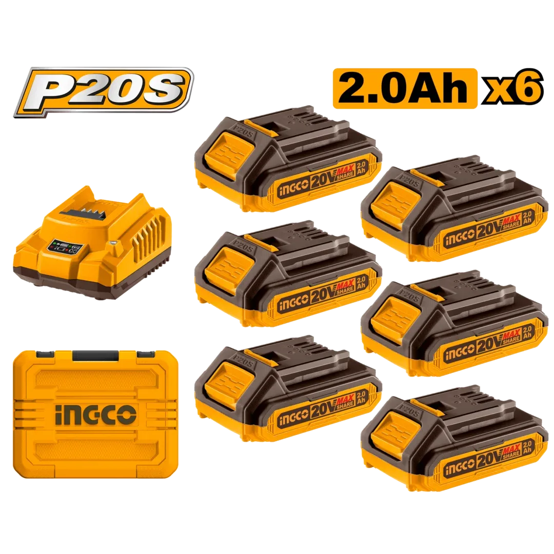 48186.webp Set Incarcator + Acumulator 20V/6*2Ah INGCO FBCLI20611 — изображение 1
