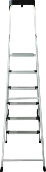 Scară cu parapet Новоя высота (6tr) — изображение 2